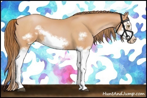 Horse Color:Bay Pearl Splash Frame