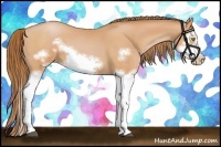 Horse Color:Bay Pearl Splash Frame 