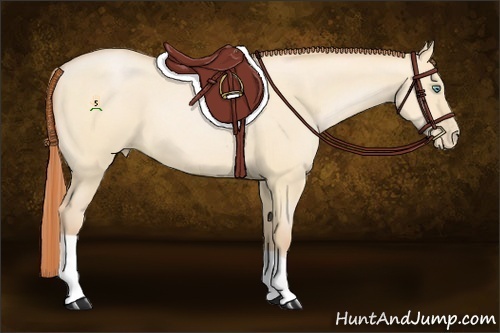 Horse Color:Buckskin Pearl Dun