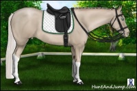 Horse Color:Silver Smoky Black Pearl Tobiano