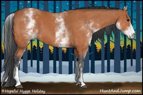 Horse Color:White Spotted Bay 