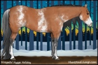 Horse Color:White Spotted Bay 