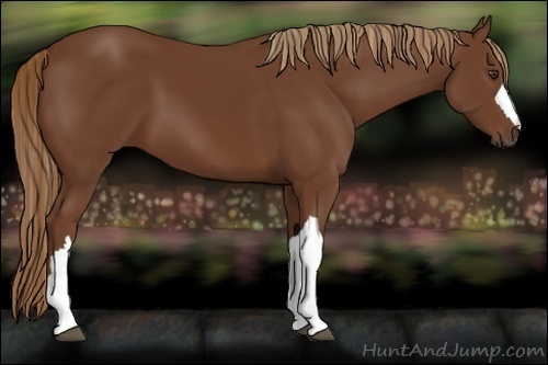 Horse Color:Chestnut 