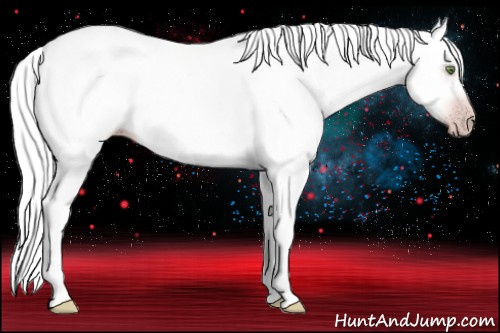 Horse Color:Gray Sable Champagne 