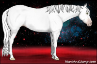 Horse Color:Gray Sable Champagne 