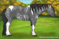 Horse Color:Black Ice Tobiano