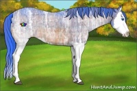 Horse Color:Watercolor Plaid Bay Ice Splash