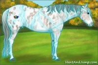 Horse Color:Thunderstruck Plaid White Spotted Bay Ice Splash Appaloosa