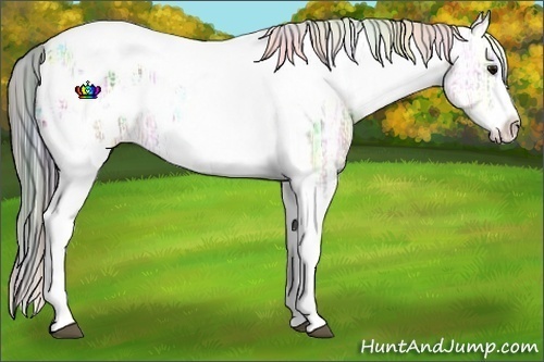 Horse Color:Nacre Plaid Bay Ice Splash Tobiano Frame Appaloosa