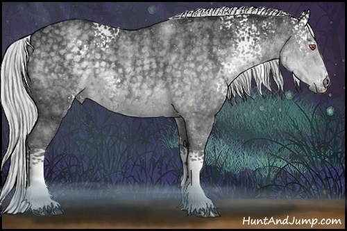 Horse Color:White Spotted Silver Blue Chinchilla Roan Rabicano  Brindle