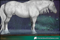 Horse Color:White Spotted Silver Blue Chinchilla Roan Rabicano  Brindle