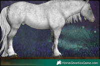 Horse Color:White Spotted Silver Blue Chinchilla Roan Rabicano  Brindle