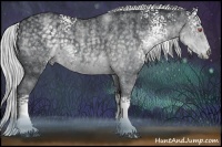 Horse Color:White Spotted Silver Blue Chinchilla Roan Rabicano  Brindle