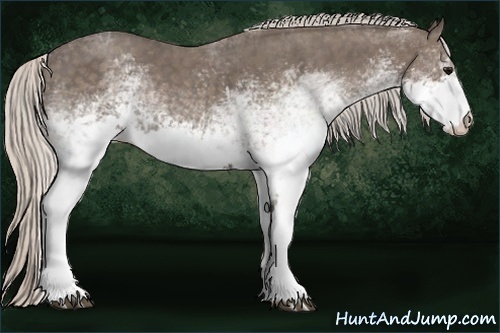 Horse Color:White Spotted Silver Blue Roan Rabicano Brindle