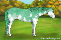 Horse Color:Watercolor Black Splash