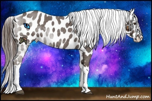 Horse Color:Liver Red Roan Near Leopard 