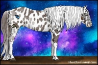 Horse Color:Liver Red Roan Near Leopard 