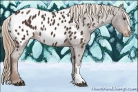 Horse Color:Liver Red Roan Near Leopard