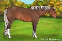 Horse Color:Silver Brown 
