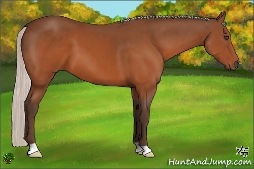 Horse Color:Silver Brown