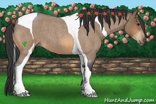 Horse Color:Buckskin Roan Tobiano 
