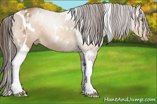 Horse Color:White Spotted Sable Champagne Tobiano Varnish