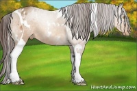 Horse Color:White Spotted Sable Champagne Tobiano Varnish 