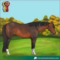 Horse Color:Brown 
