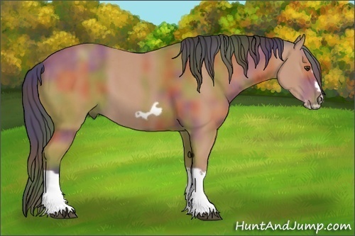 Horse Color:Nacre Bay Splash Frame 