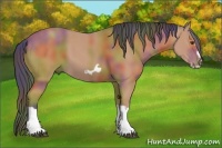 Horse Color:Nacre Bay Splash Frame 