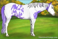 Horse Color:Watercolor Brown Roan Splash Tobiano Appaloosa