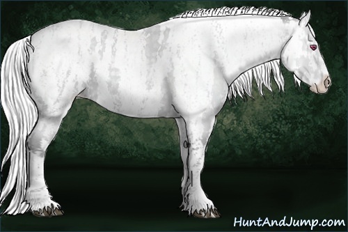 Horse Color:White Spotted Silver Black Chinchilla Pearl Splash Tobiano Appaloosa  Brindle