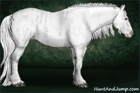 Horse Color:White Spotted Silver Black Chinchilla Pearl Splash Tobiano Blanket  Brindle
