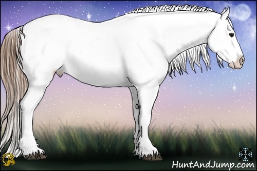 Horse Color:White Spotted Brown Pearl Appaloosa  Brindle