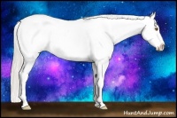 Horse Color:Silver Black Pearl Sabino Varnish 