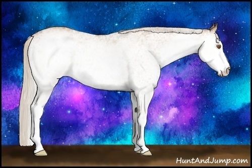 Horse Color:White Spotted Silver Black Pearl 
