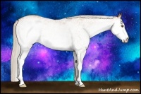 Horse Color:White Spotted Silver Black Pearl 