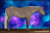 Horse Color:Silver Black Sabino 
