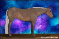 Horse Color:Silver Black 