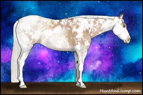 Horse Color:Silver Black Pearl Sabino