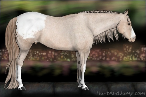 Horse Color:Brown Pearl Snowcap Rabicano  Brindle