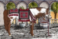 Horse Color:Chestnut Frame