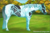 Horse Color:Thunderstruck Black Tobiano Rabicano