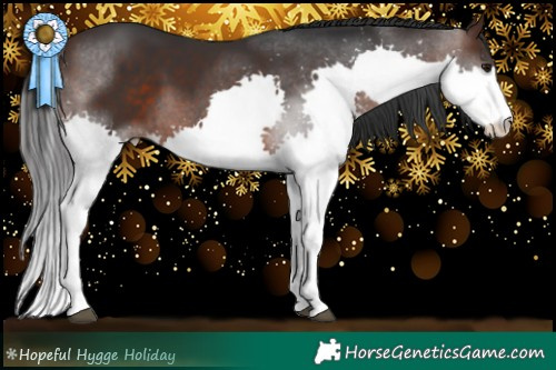 Horse Color:Brown Splash 