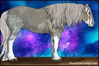Horse Color:Silver Black Ice Splash 
