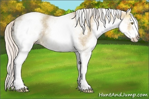 Horse Color:White Spotted Silver Amber Champagne Ice 