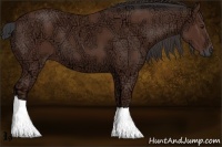 Horse Color:Bay Ice 