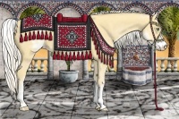 Horse Color:White Spotted Gold Cream Champagne