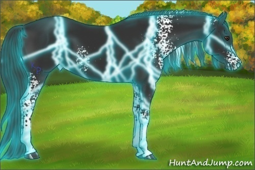 Horse Color:Thunderstruck White Spotted Liver Chestnut 