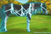 Horse Color:Thunderstruck White Spotted Liver Chestnut 